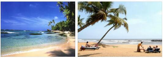 Holidays in Sri Lanka